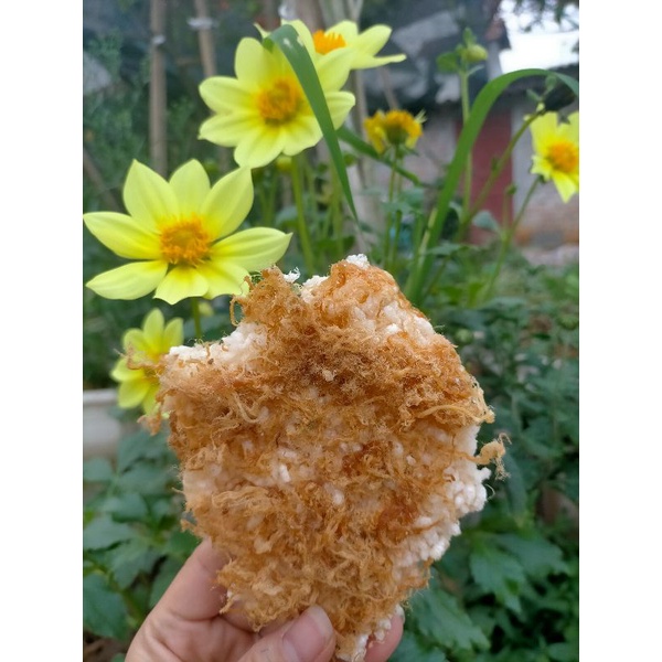 Cơm cháy Sài Gòn gói 0.5 kg