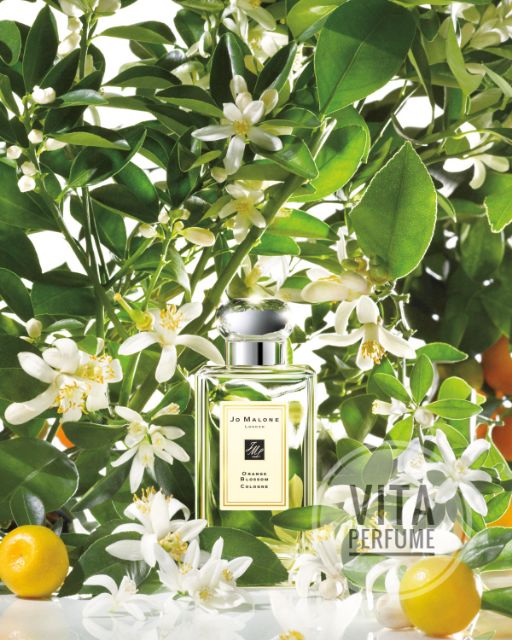 [Mẫu Thử] Nước Hoa Orange Blossom - Hoa Cam Ngát Hương Từ Nhà Jo Malone | Thế Giới Skin Care