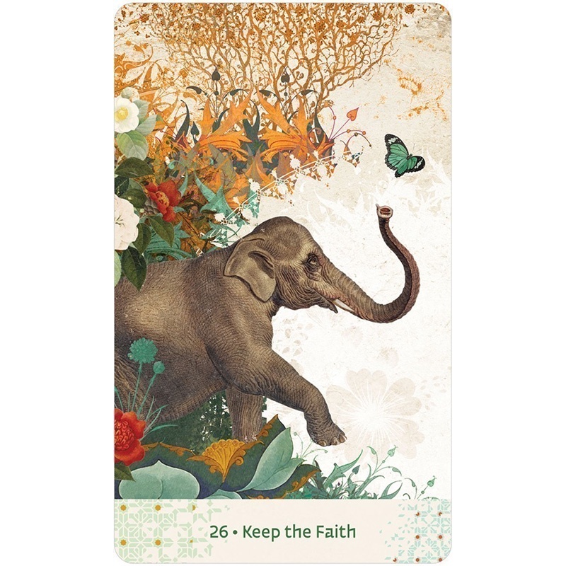 Bộ Bài Wisdom of Hafiz Oracle (Mystic House Tarot Shop) - Bài Gốc Authentic Chính Hãng 100%