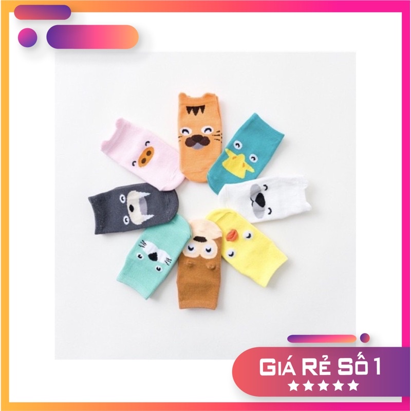 Combo 5 đôi tất Kids snocks cho bé trai/bé gái