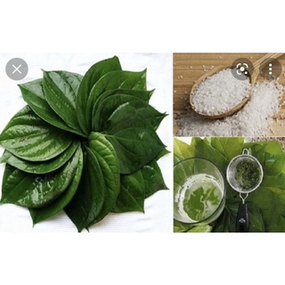 Bột lá trầu không nguyên chất 500gr