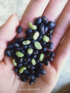 Trà gạo lứt đỗ đen rang 1kg