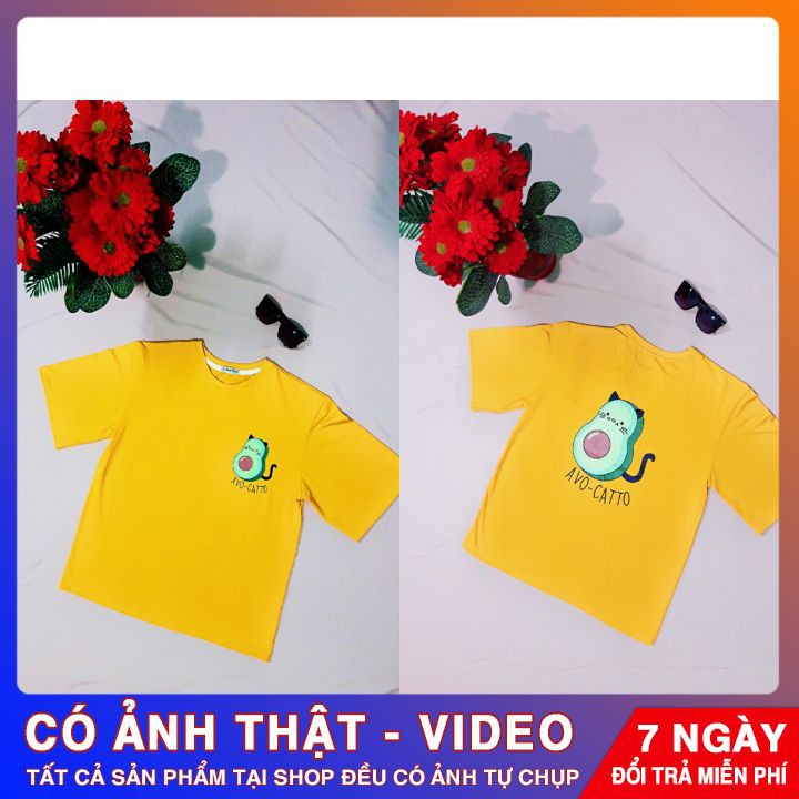 Áo thun nữ tay lỡ 💥𝐒𝐈𝐄̂𝐔 𝐑𝐄̉, 𝐒𝐈𝐄̂𝐔 Đ𝐄̣𝐏💥 freesize form rộng Unisex mặc đi học, cặp, nhóm, lớp in hình DỄ THƯƠNG