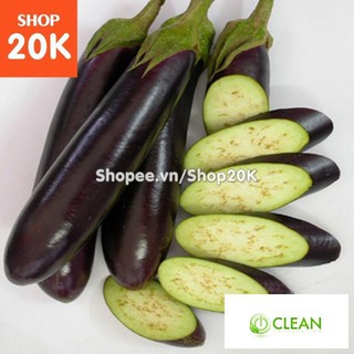 Hạt giống Cà tím (Cà nâu cơm xanh)