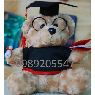 Gấu cử nhân size 30cm giá cực rẻ
