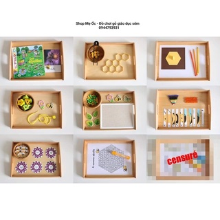 (Size trung 25x33cm) - Khay đựng Montessori