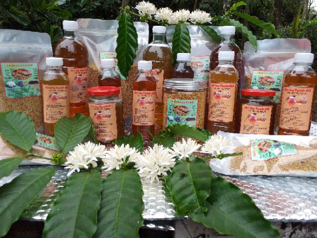 Mật ong ( 1 lít mật ong hoa cà phê nguyên chất.) MẬT ONG ĐẶC SẢN VÙNG TÂY NGUYÊN 100% HOA CÀ PHÊ | BigBuy360 - bigbuy360.vn