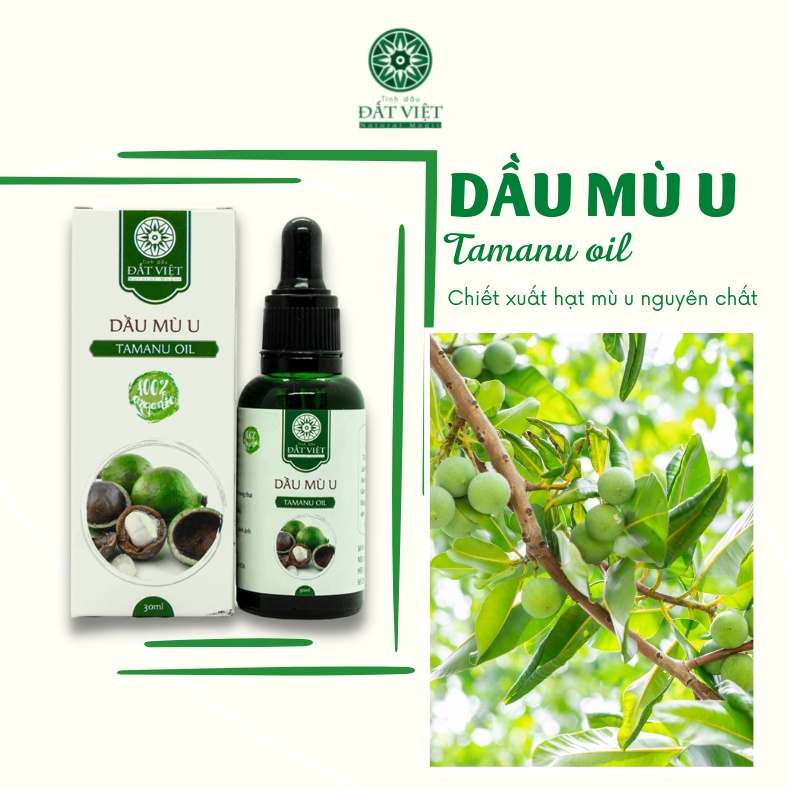Dầu Mù U Nguyên Chất 30ml 100% Organic làm lành vết bỏng, giảm sẹo mụn