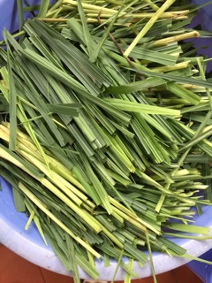 Dầu gội đầu thảo dược