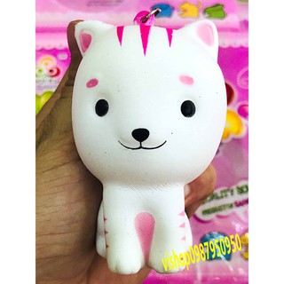 Squishy mèo con ngồi ngoan