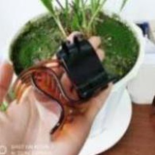 Kẹp tóc càng cua 5 răng, 3 răng ( Đen + nâu + trog suốt)