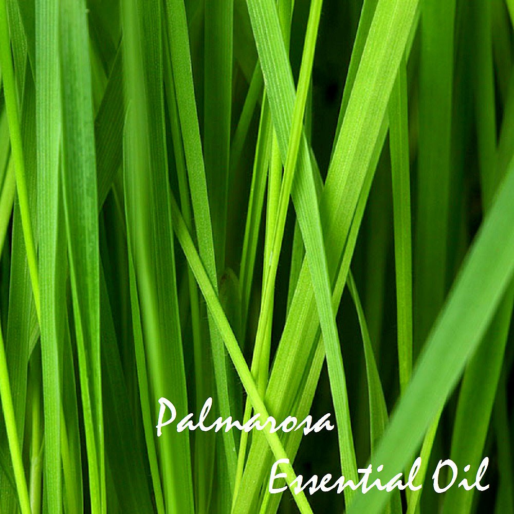 Tinh dầu Sả hoa hồng Palmarosa Essential Oil