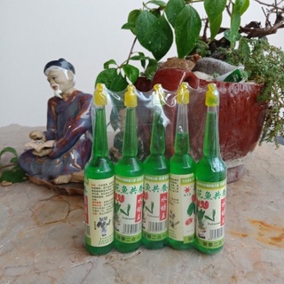 dung dịch thuỷ canh cho cây