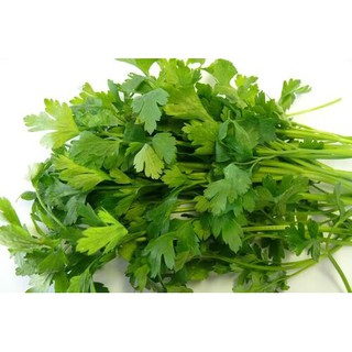 Combo hạt giống