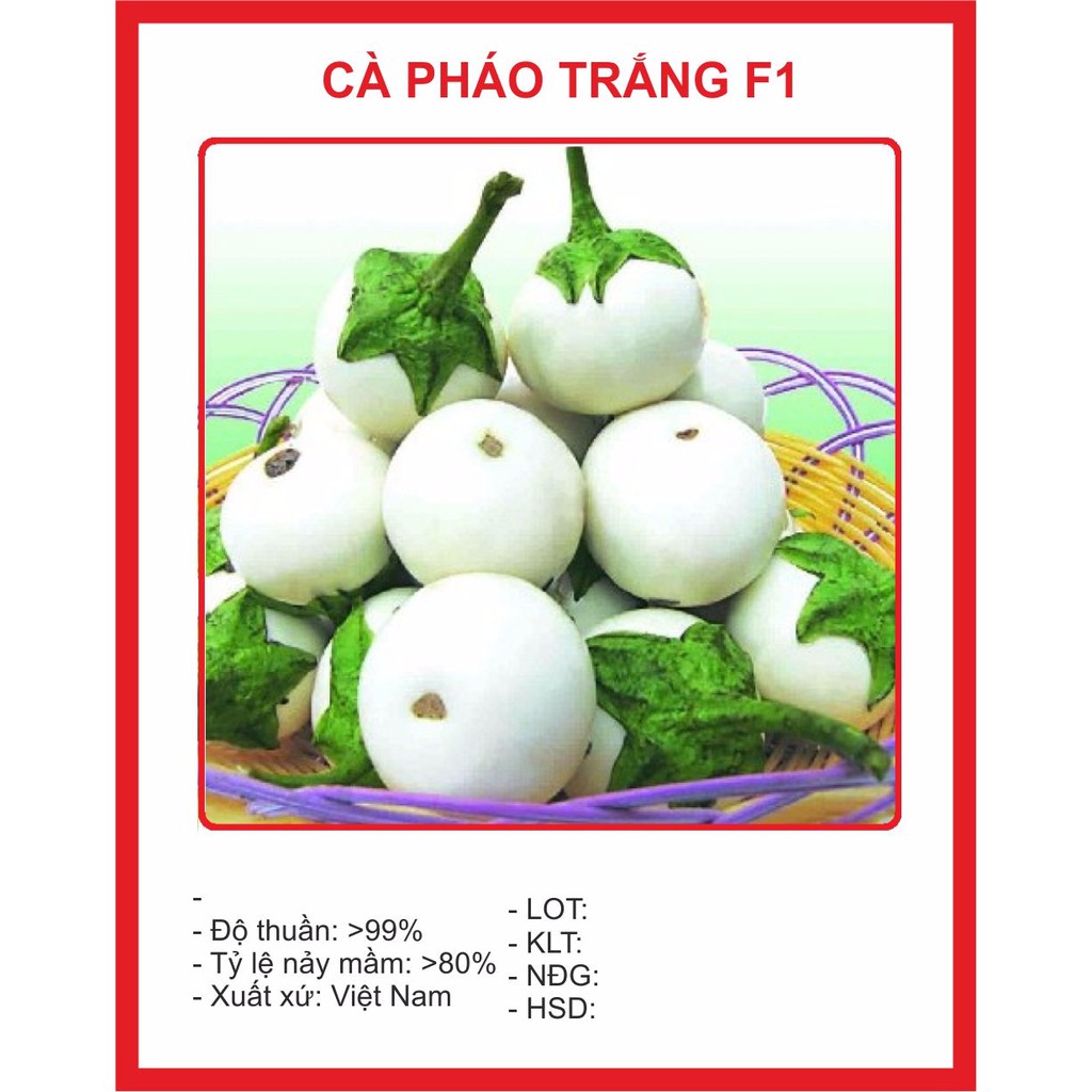 Hạt giống Cà Pháo Trắng 1gram