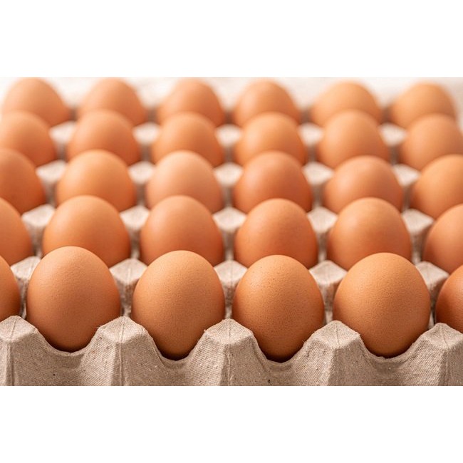 Lô 10 trứng gà tươi