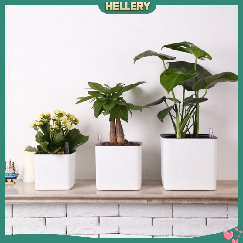 Chậu Trồng Cây Tự Tưới Nước Bằng Nhựa Hiện Đại