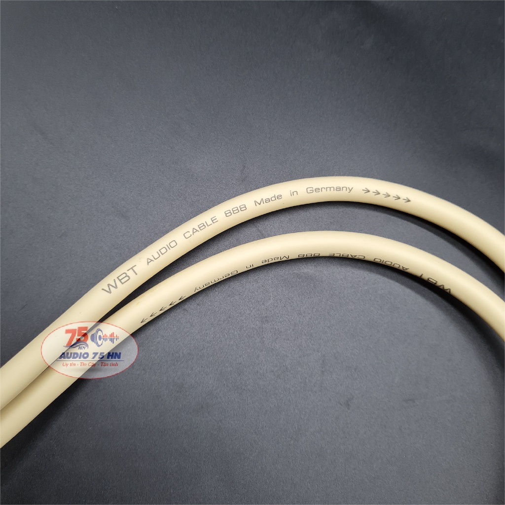 01 cặp dây tín hiệu âm thanh WBT - 888 cao cấp của Đức Dây AV / RCA dài 1M