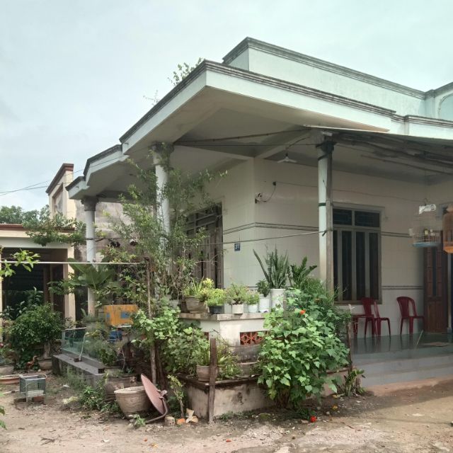 Nguyễn kim vũ