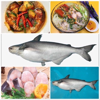 Cá hú chuột 1kg tươi ngon đã làm sạch | giao siêu tốc hcm