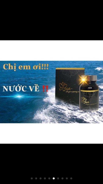 Thuỷ mộc đơn Briar | BigBuy360 - bigbuy360.vn