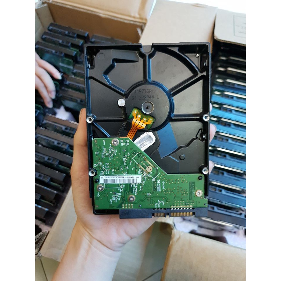 HDD Western 500G - Bảo hành 24 tháng | BigBuy360 - bigbuy360.vn