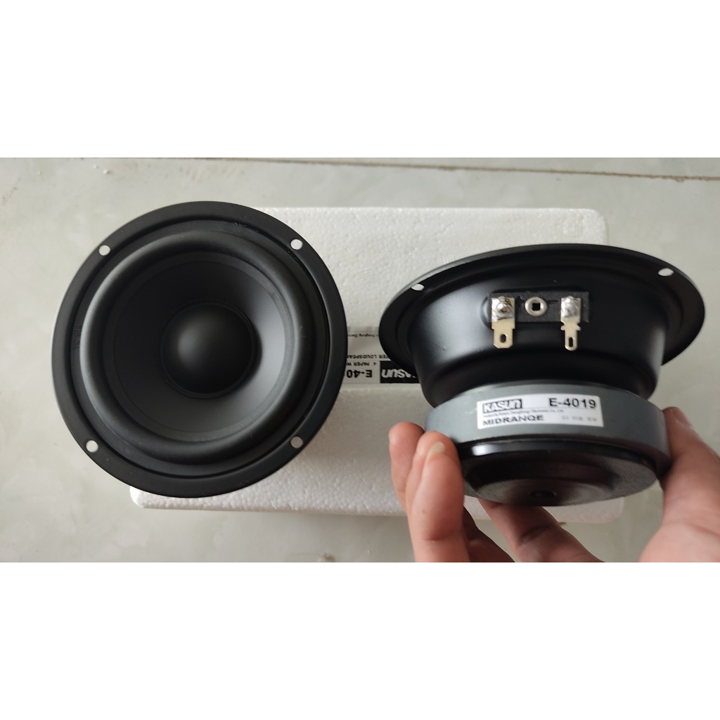 Loa trung 10 KASUN hàng nhập khẩu - giá 2 loa