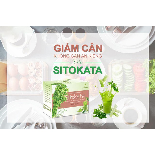 Bột cần tây Sitokata F99 1 hộp 20 gói 100gram (5gram/1 gói) | BigBuy360 - bigbuy360.vn