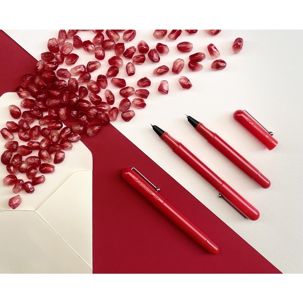 Bút máy học sinh Cánh Diều 202