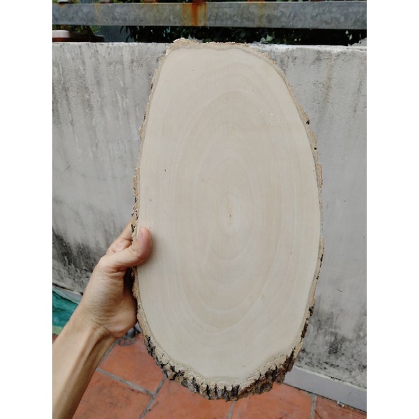 Lát gỗ trơn dài 35-40cm