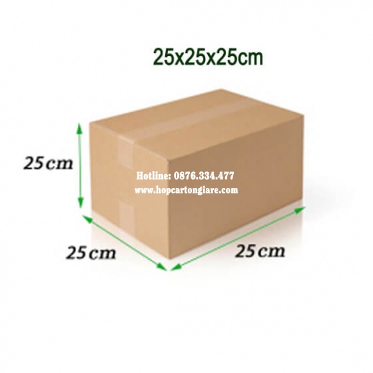10 hộp carton 25x25x25 cm