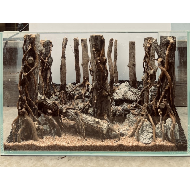 Đá Da Voi Hồ Thuỷ Sinh