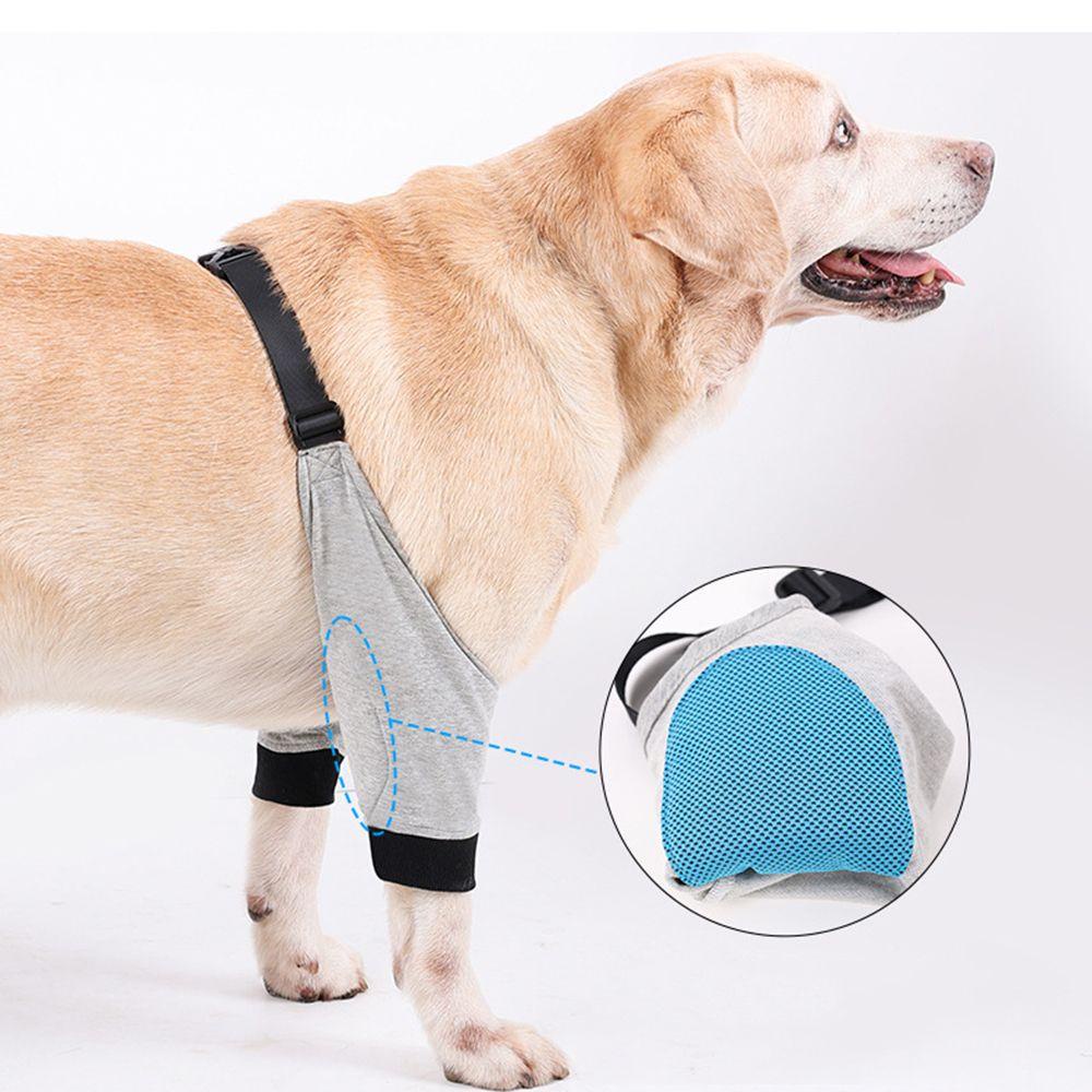 Vòng Đeo Chân Trước Bảo Vệ Chống Đá Cho Thú Cưng LAYOR1