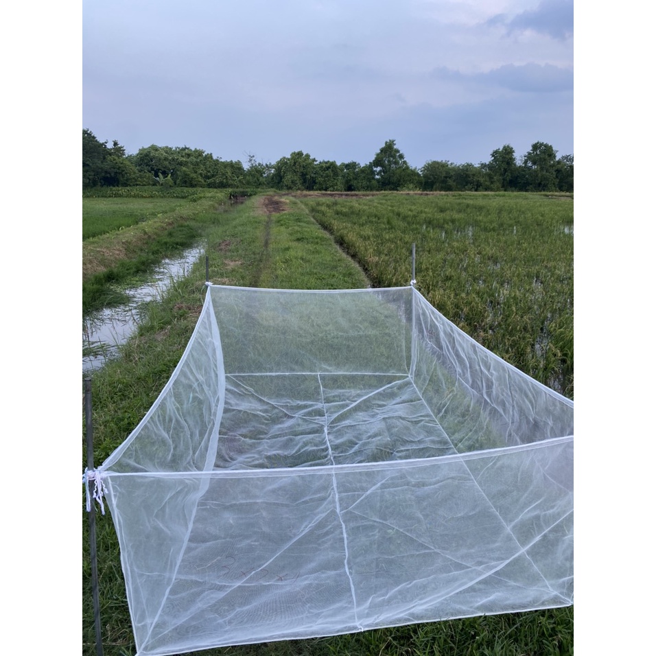 Tráng nuôi ốc nhồi , ốc bươu chuyên nghiệp có 19 kích thước lựa chọn