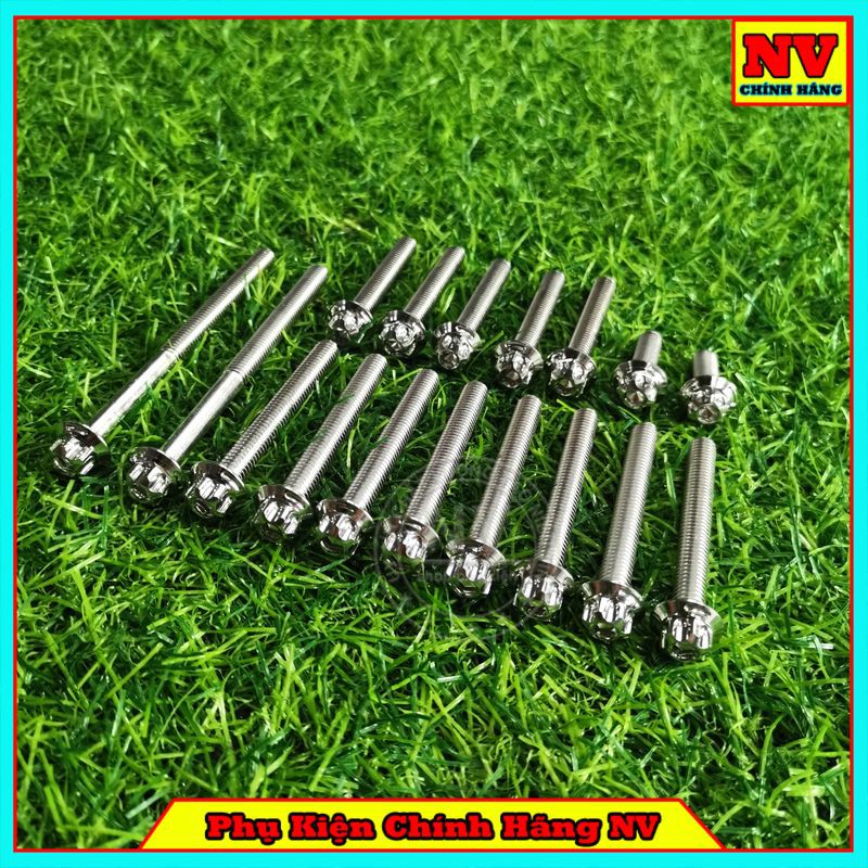 Bộ Ốc Lốc Máy Winner/ Winner X/ Ex150/ Ex135/ Ex2010/ Sirius/ Future/ Wave/ Dream/ Vario/ Satria/ Raider Mẫu Salaya