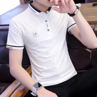 ÁO THUN NAM CÓ CỔ CHẤT ĐẸP