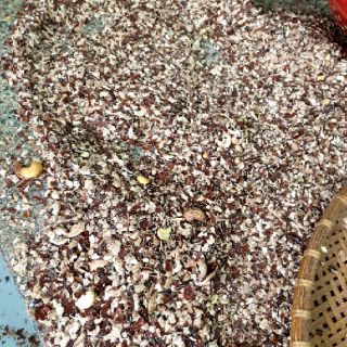 HẠT ĐIỀU VỠ RANG MUỐI BÌNH PHƯỚC