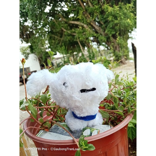 Móc khoá gấu bông dễ thương