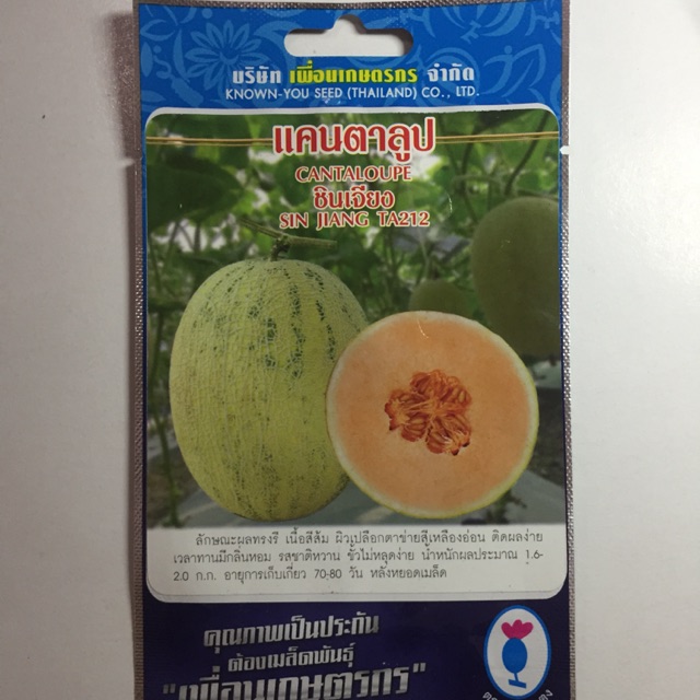 Hạt giống dưa lưới Hami vỏ vàng ruột đỏ (You know seed Thái Lan)
