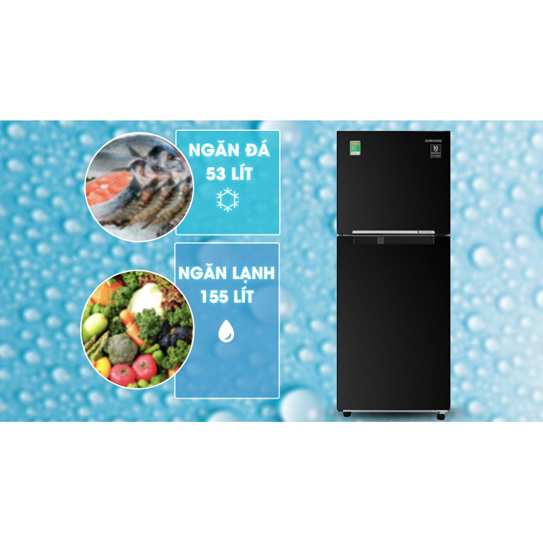 Tủ lạnh Samsung Inverter 208 lít RT20HAR8DBU/SV (Miễn phí giao tại HCM-ngoài tỉnh liên hệ shop)