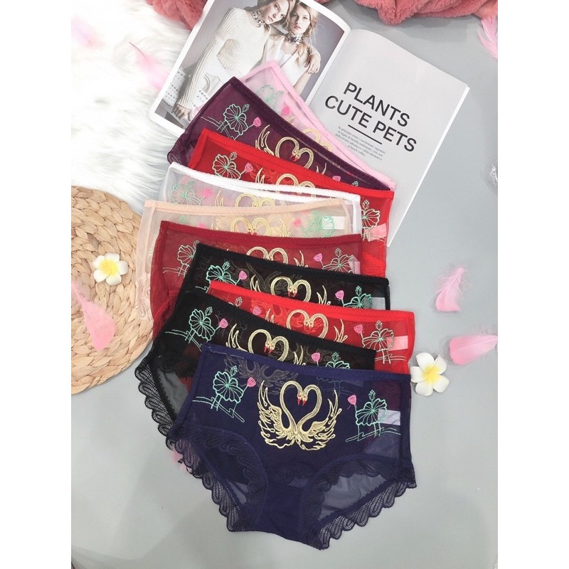 Quần Lót ren cạp Cao uyên ương - Quần lót nữ ren Lưới