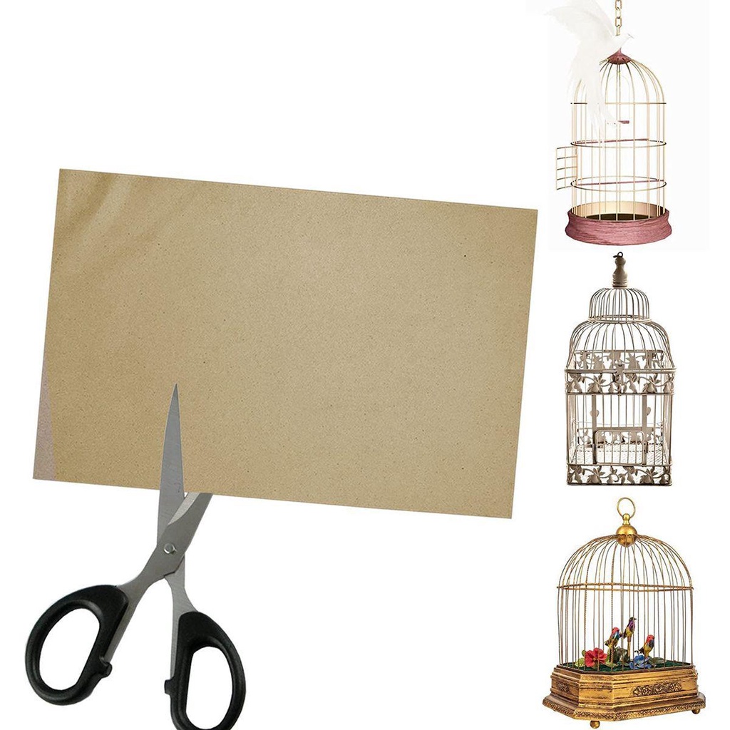 Giấy Lót Giường Cách Tân Dễ Lau Chùi 11X17 inch