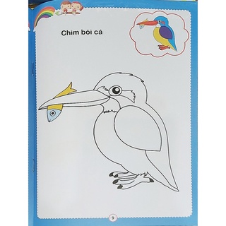 Sách- Bé tập tô màu :Các loài chim