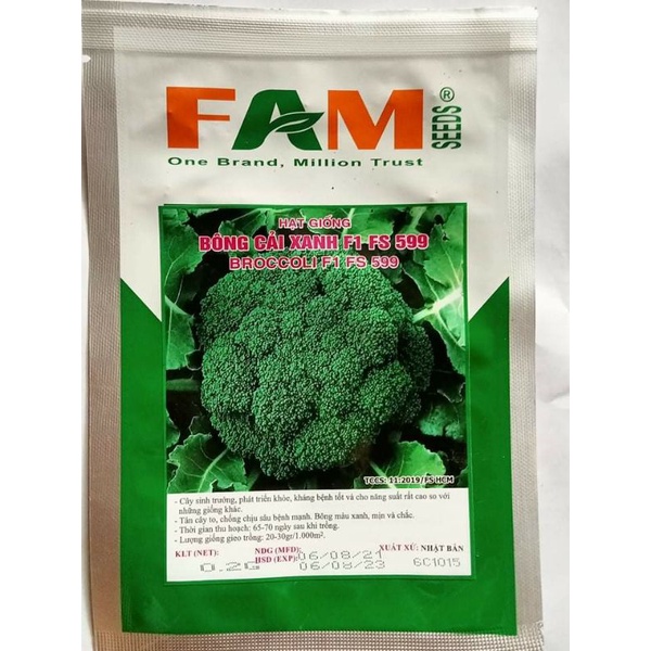 GÓI HẠT GIỐNG SÚP LƠ XANH