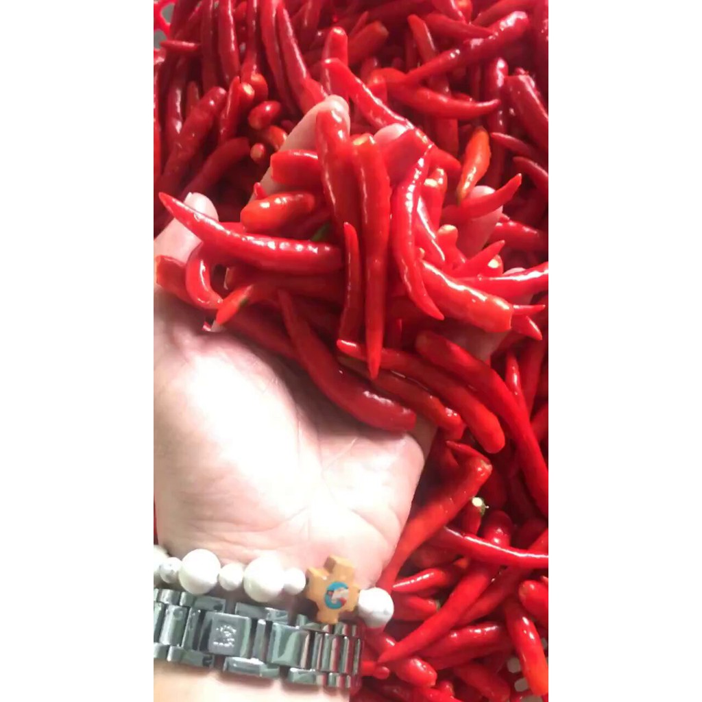 [Nguyên chất, nhà làm,FREESHIP]Khô Gà Lá Chanh RONONA thơm lá chanh, Mềm, Bùi 500gram | BigBuy360 - bigbuy360.vn