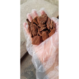 Vỏ thông đã qua xử lý 1kg