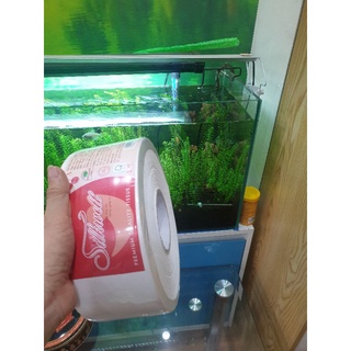 Giấy vệ sinh công nghiệp cuộn lớn SILKWELL 700g hàng chính hãng cao cấp (có xuất hóa đơn VAT cho các KH có nhu cầu)