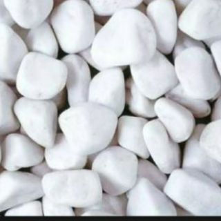 1kg sỏi trắng trang trí nhà vườn