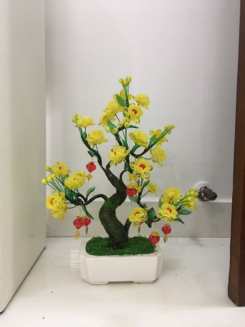 Đồng tiền trang trí