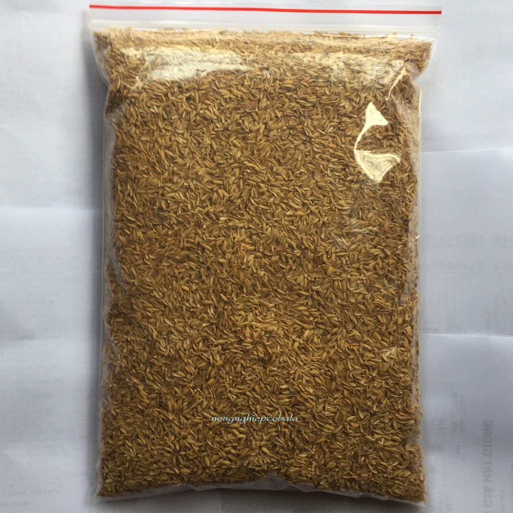 Giá Thể Vỏ Trấu Trồng Rau, Hoa Kiểng (1kg)